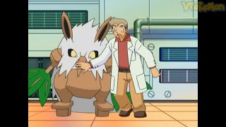 Shiftry attacks Professor Oak  Pokemon quiz [upl. by Nesmat]