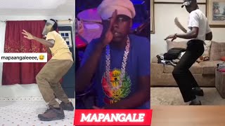 Mapangalee  TikTok Dance Compilation [upl. by Lecirg575]