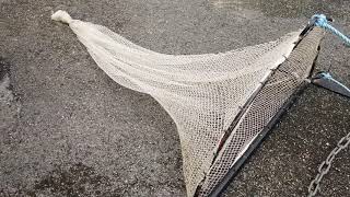 home made shrimp drag net [upl. by Domash]