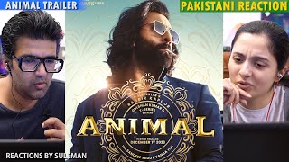 Pakistani Couple Reacts To ANIMAL Trailer  Ranbir Kapoor  Rashmika  Anil K  Bobby Deol [upl. by Lareneg]