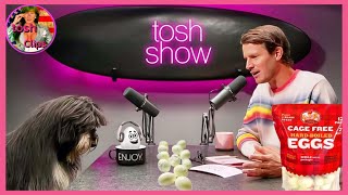 How I Learned Hard Boiled Eggs Expire  Tosh Clips [upl. by Audrey480]