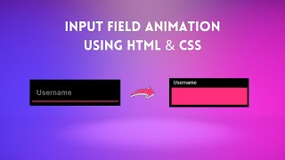 Input Field Animations with HTML and CSS  Input Label Animation  Web Content [upl. by Croteau]