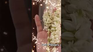 Discover the Magic Sweet Smell of Beautiful Wedding Flowers thevetpreneurvoice wedding [upl. by Susann]