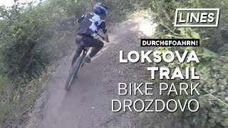 Loksova Trail  Bike park Drozdovo 🇸🇰  LINES [upl. by Nerhtak806]