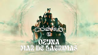 Ozuna  Mar De Lágrimas Visualizer Oficial  COSMO [upl. by Hsetim]