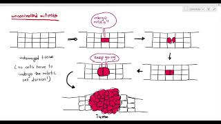 58 Cancer Cambridge AS amp A Level Biology 9700 [upl. by Owain]