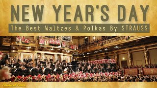 Wien Classics  NEW YEARS DAY CONCERT  The Best Waltzes amp Polkas By Strauss [upl. by Einolem]