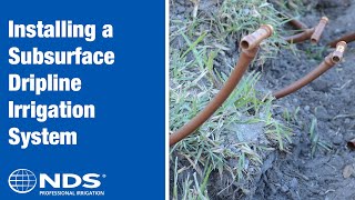 How to Install a Subsurface Dripline Irrigation System  NDS Professional Irrigation [upl. by Darda757]