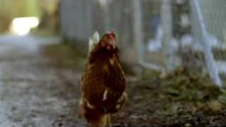 Jung von MattLimmat Migros TV Spot Huhn quotChocolatequot [upl. by Nagyam]