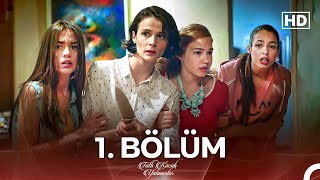 Tatlı Küçük Yalancılar 1 Bölüm FULL HD [upl. by Elylrac]