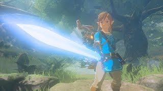 Zelda Breath of the Wild Master Sword Trial Part 2 [upl. by Esta]