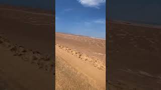 Peserva de Paracas en Bici 🇵🇪  EDROYOU playa paracasenbicicleta paracas [upl. by Adnorehs]