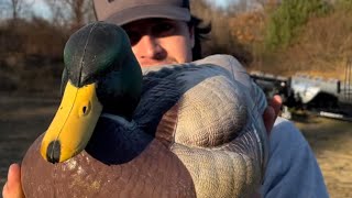 HEYDAY DECOYS ARE INDESTRUCTIBLE [upl. by Adnelg]