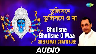 Bhulisne Bhulisne O Maa  Srikumar Chatterjee Aar Kono Sadh Dev  Sreekumar Chatterjee  Audio [upl. by Rohpotsirhc]