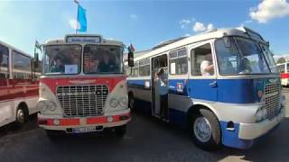 Cottbusverkehr Tag der offenen Tür  Ikarus Bus Treffen Cottbus  zlot ikarusów w Niemczech [upl. by Phonsa]