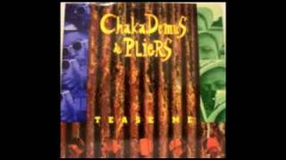 Chaka Demus amp Pliers  Tease Me w lyrics [upl. by Ahsac]