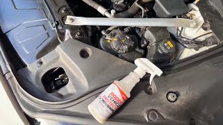 Best Rodent Repellents for Vehicle Protection and Maintenance  Rodent repellents 2024 [upl. by Canty]