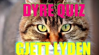 Gjett lyden Hvilket dyr lager lyden Dyre Quiz lær barn om dyr Dyrelyder [upl. by Nuahsar384]