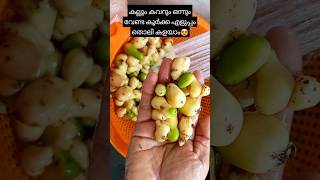 കൂർക്ക പെട്ടെന്ന് തൊലി കളയാം youtubeshorts easy cooking tips [upl. by Tracie]