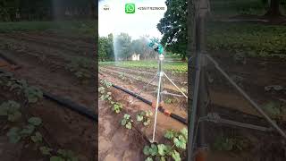 Smart irrigation technique yuzuak JET 30 Rain gun sprinkler raingun kilimofarmingirrigationtz [upl. by Asi]