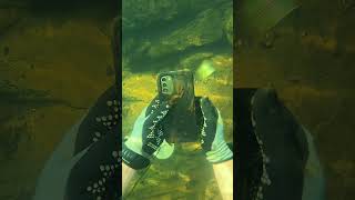 Who Lost Their Phone Underwater Scuba Diving [upl. by Dacia]