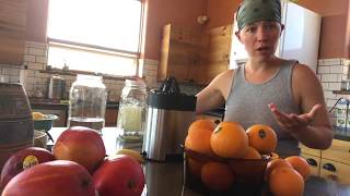 How to make fermented orange juice [upl. by Arammat]