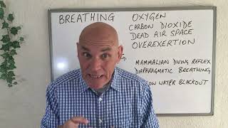 PADI IDC Theory  Physiology  Respiration [upl. by Aropizt]