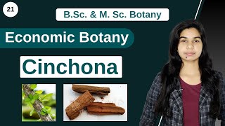 Economic Botany  Medicinal Plants  Cinchona  B Sc amp M Sc [upl. by Oinimreh690]