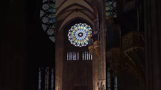 French Cathedral Organs are CRAZY 🤯 [upl. by Bealle252]