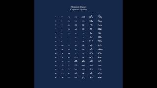 Mammal Hands  Captured Spirits Full Album [upl. by Akinar]