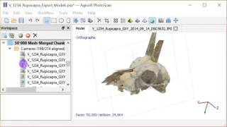 16Photogrammetry 3D Fossils Correcting Models Export as PDF VRML STL Files [upl. by Aihsek]