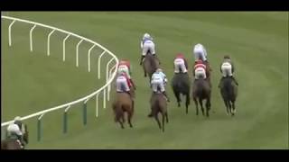 Queen Mother Champion Chase 2016  SPRINTER SACRE Full Race [upl. by Elysia]