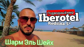 Питание и Пляж 🇪🇬 Iberotel Redsina 5 Шарм Эль Шейх район Набк Подводный мир заход с берега [upl. by Nahshu609]