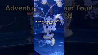 Adventure Aquarium Tour Camden New Jersey [upl. by Auehsoj648]