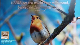 Bijbeltekst zingen Psalm 1413 [upl. by Tedric]