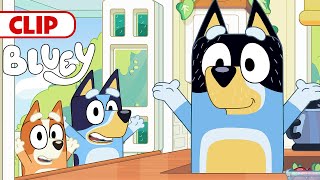 Bluey Season 3 Episode 5 quotBorn Yesterdayquot Episode Clip  disneyjr  BlueyOfficialChannel [upl. by Soneson]