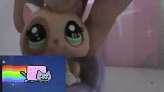 LPS React To Nyan Cat [upl. by Cleaves]