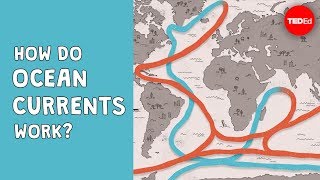 How do ocean currents work  Jennifer Verduin [upl. by Thoma]