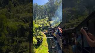 Puffing Billy Adventure Australia’s Iconic Steam Train Ride [upl. by Welcy]