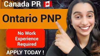 Ontario PNP  Canada PR 🇨🇦  OINP International Student Stream [upl. by Forester]