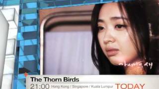 Today 323 The Thorn Birds  The First Episode [upl. by Rehc688]