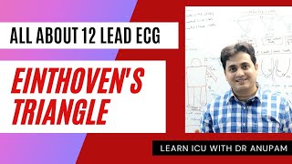 ECG BASICS WHAT IS 12 LEAD ECG EINTHOVENS TRIANGLE Dr Anupam Mohapatra [upl. by Sonja]