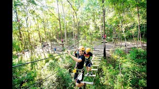 Treetop Challenge at Currumbin Wildlife Sanctuary Gold Coast [upl. by Akiehsal]