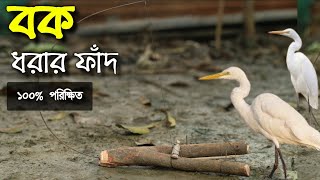 Bok pakhir fad  bird trap of catching bird  gallinule bird trap make bird trap bok pakhi fad [upl. by Pilihp]