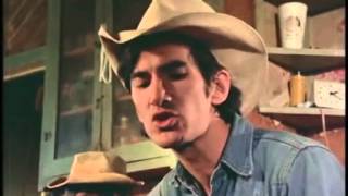 Townes Van Zandt  3 canciones subtituladas al español [upl. by Fast]