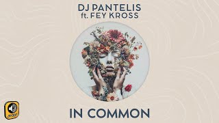 Dj Pantelis ft Fey Kross  In Common Radio Mix [upl. by Lehpar]