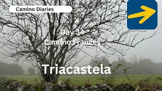 Day 34  O Cebreiro to Triacastela Camino Frances  September Camino [upl. by Magnusson]