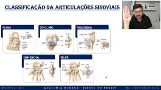 Classificação das articulações sinoviais  Sistema articular  Anatomia direto ao ponto [upl. by Mcnally]