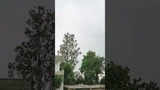 Barish song bollywood music hindisong love [upl. by Neila569]