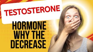 What is testosteroneWhy does the testosterone hormone decrease what should I do if I need more [upl. by Yelad634]